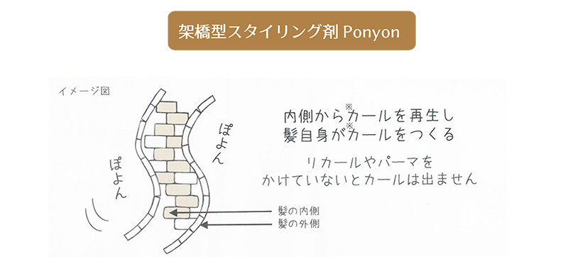 架橋型スタイリング剤Ponyon