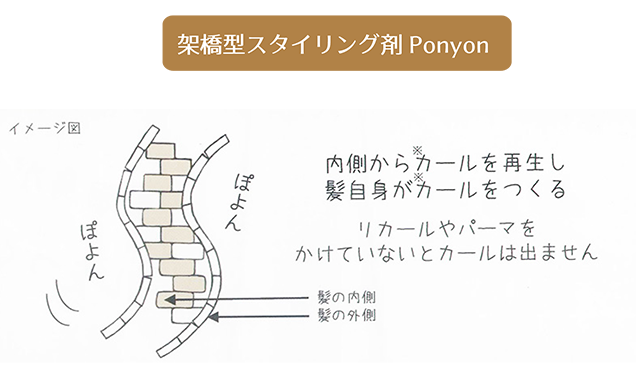 架橋型スタイリング剤Ponyon